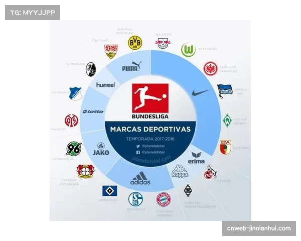 体育内容赞助权益划分更精细化，激活品牌合作空间