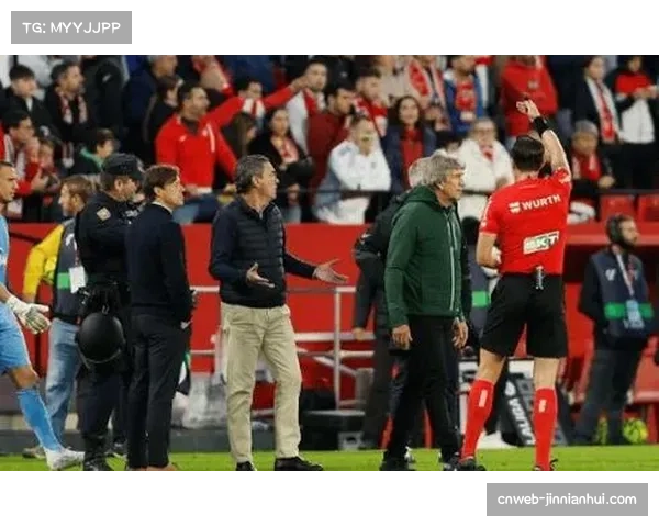 球迷闯入赛场导致比赛中断五分钟，已被安保带离